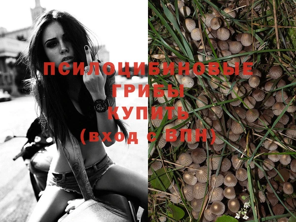 кокаин колумбия Белокуриха