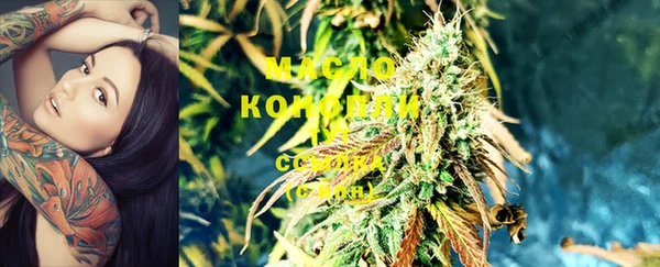 индика Белоозёрский