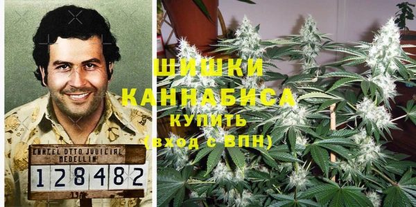 индика Белоозёрский