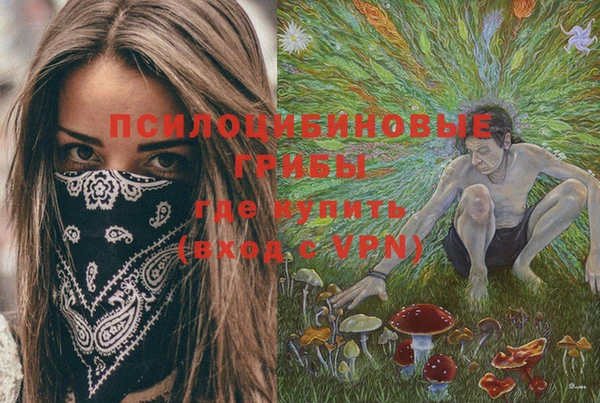 эйфоретик Беломорск